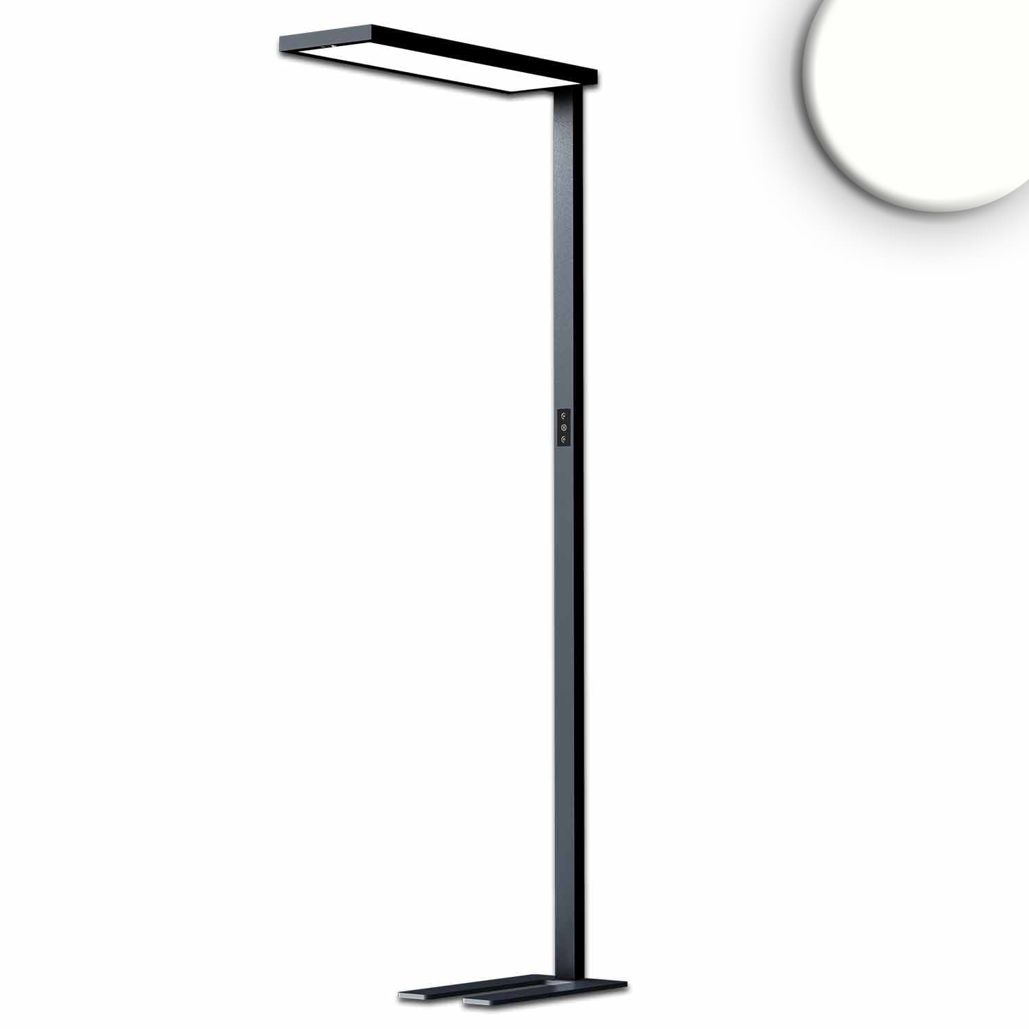 LED Office Pro Stehleuchte Up&Down, 80W+20W, schwarz, UGR<19, neutralweiß, Touch-Dimm