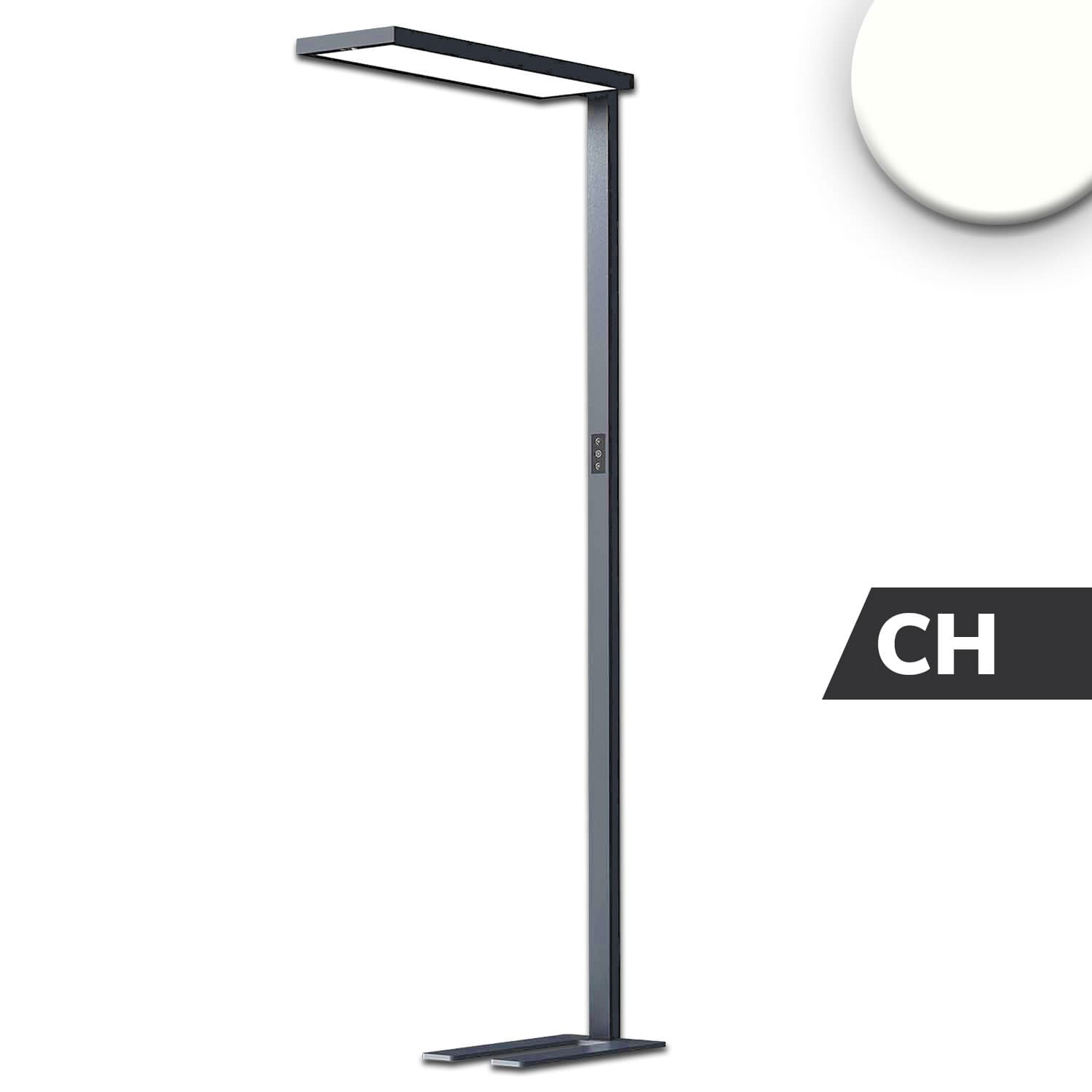 LED Office Pro Stehleuchte Up&Down, 80W+20W, schwarz, UGR<19, neutralweiß, Touch-Dimm, CH-Stecker
