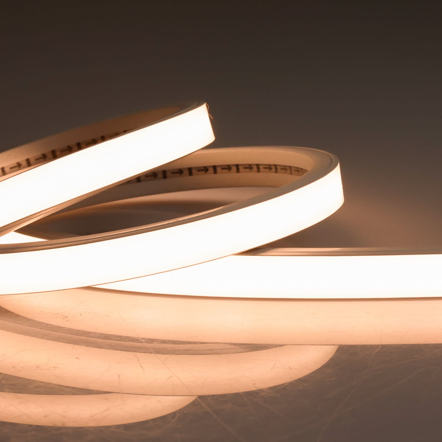 LED NEON927 Flexband B13H08, 24V DC, 12W, IP54, 2700K, 5m Rolle, 240LED/m, inkl. Montageclips