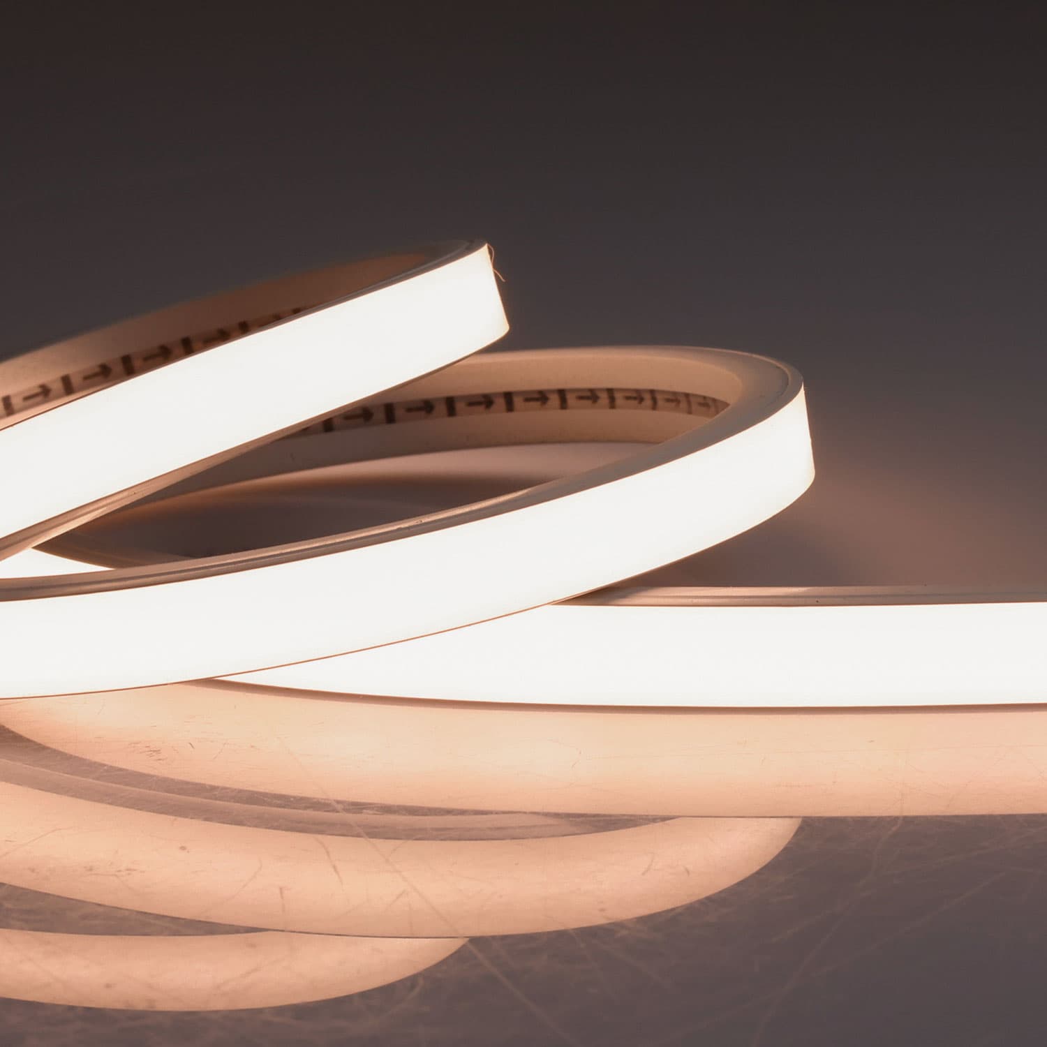 LED NEON930 Flexband B13H08, 24V DC, 12W, IP54, 3000K, 5m Rolle, 240LED/m, inkl. Montageclips