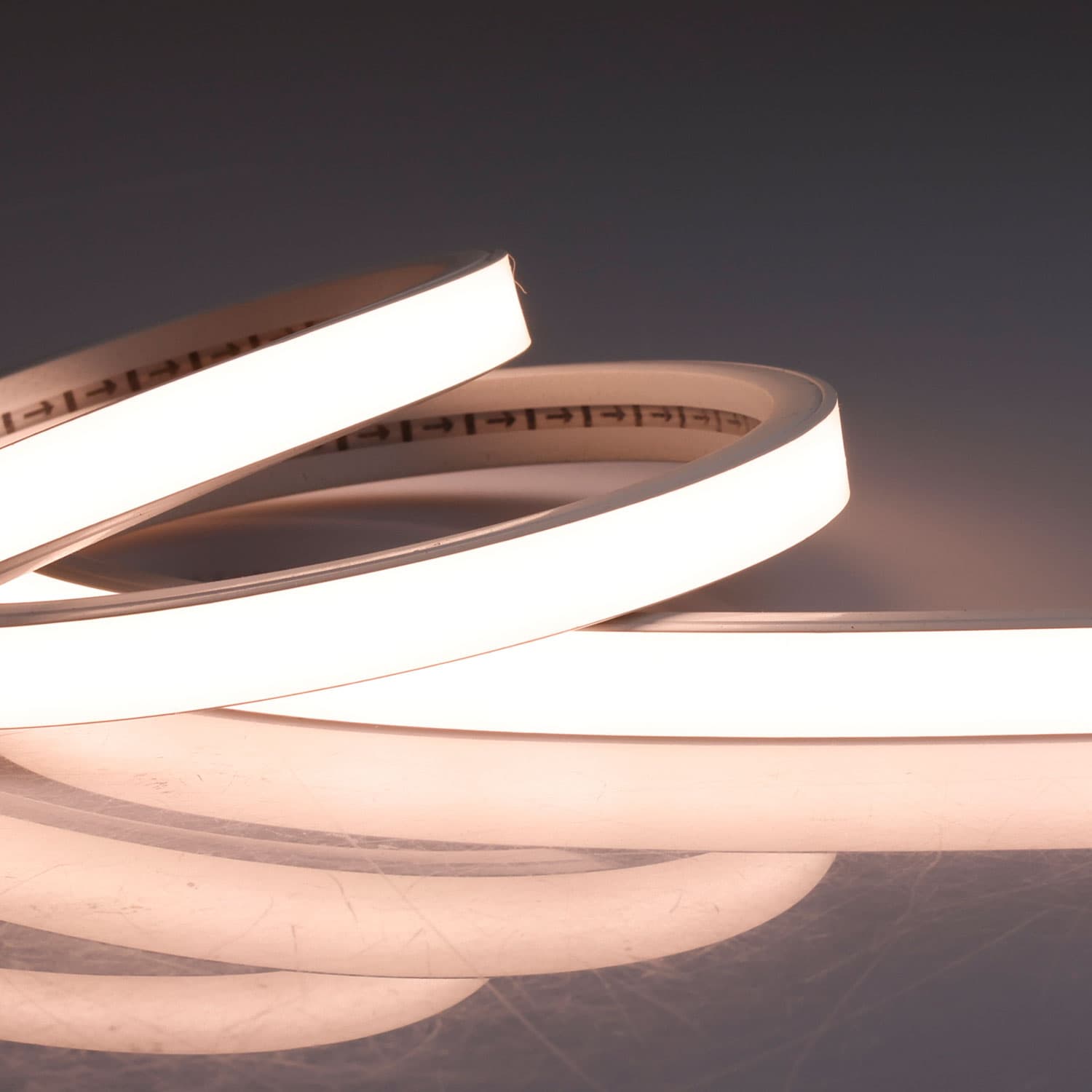 LED NEON940 Flexband B13H08, 24V DC, 12W, IP54, 4000K, 5m Rolle, 240LED/m, inkl. Montageclips